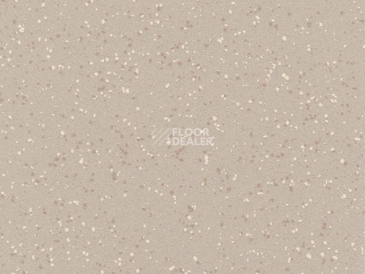 Линолеум Polyflor Polysafe Verona Pur 5214 Marshmallow фото 1 | FLOORDEALER